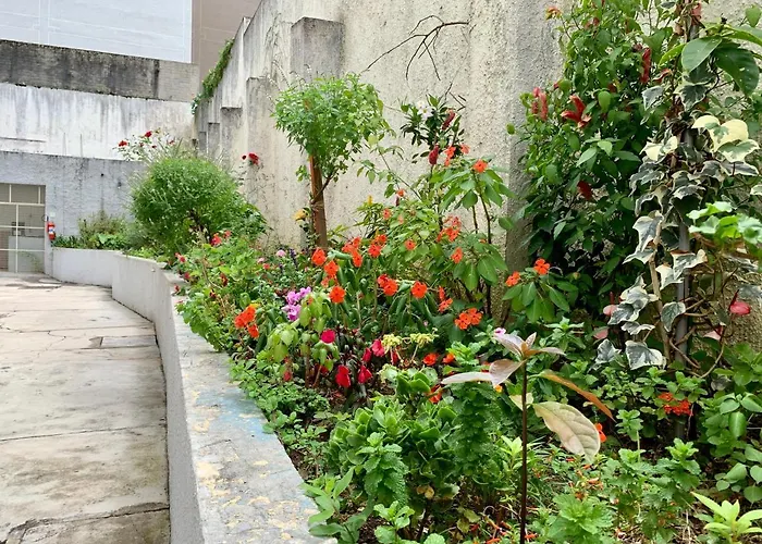 505 - Apartamento Lindo, Amplo E Decorado, Mobiliario Moderno, Cozinha Completa Com Utensilios , Excelente Vista Da Cidade E Localizacao Privelegiada No Bairro Bigorrilho Proximo De Shopping E Parques